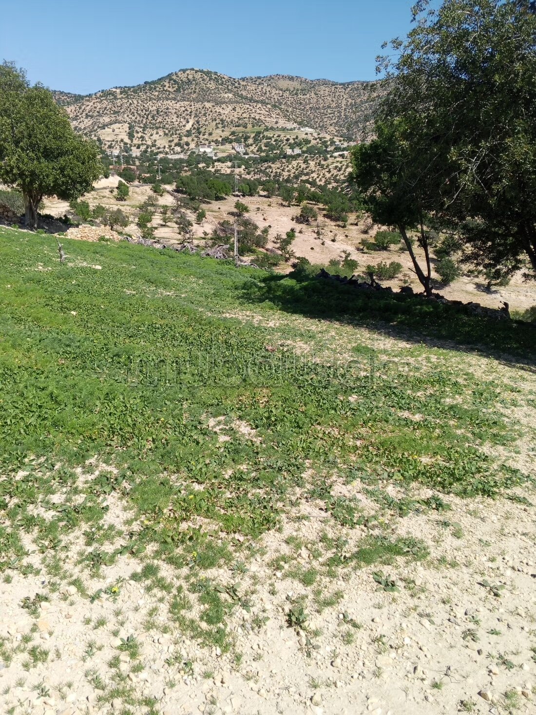 600 m² plot for sale in Hay Mohammadi Agadir — Photo 9