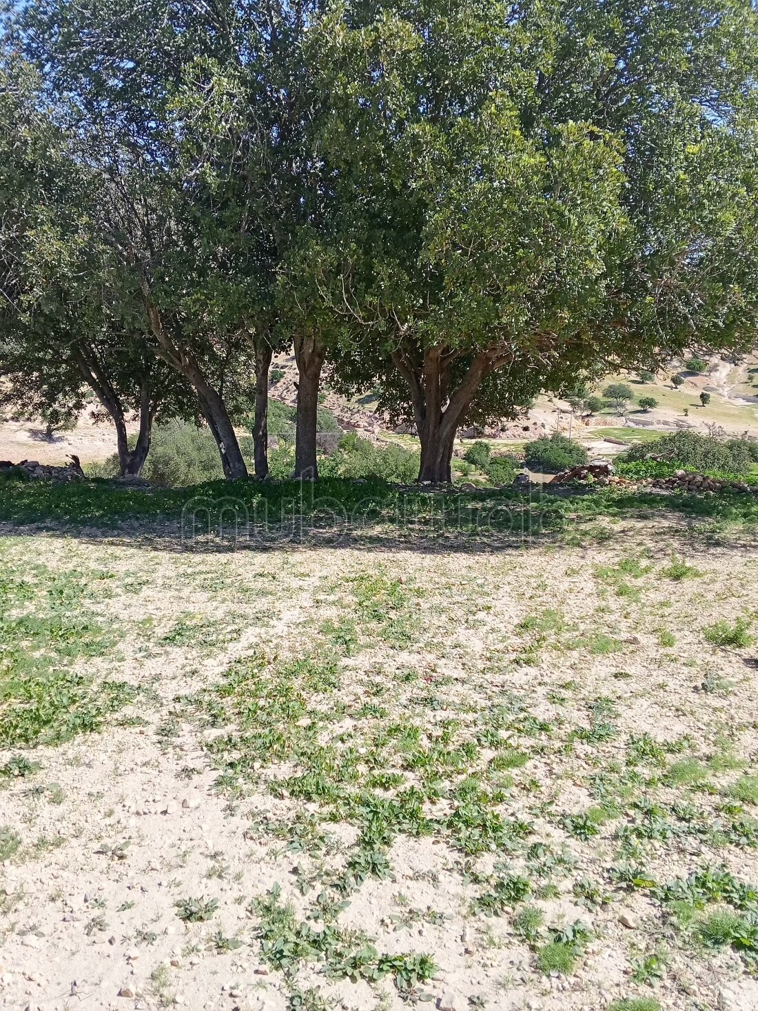 600 m² plot for sale in Hay Mohammadi Agadir — Photo 10