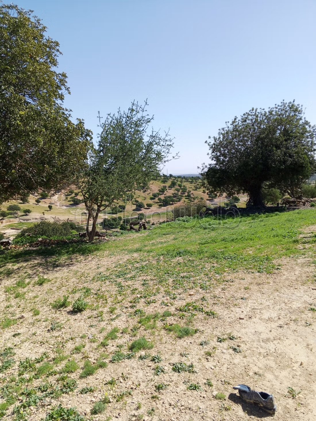 600 m² plot for sale in Hay Mohammadi Agadir — Photo 11