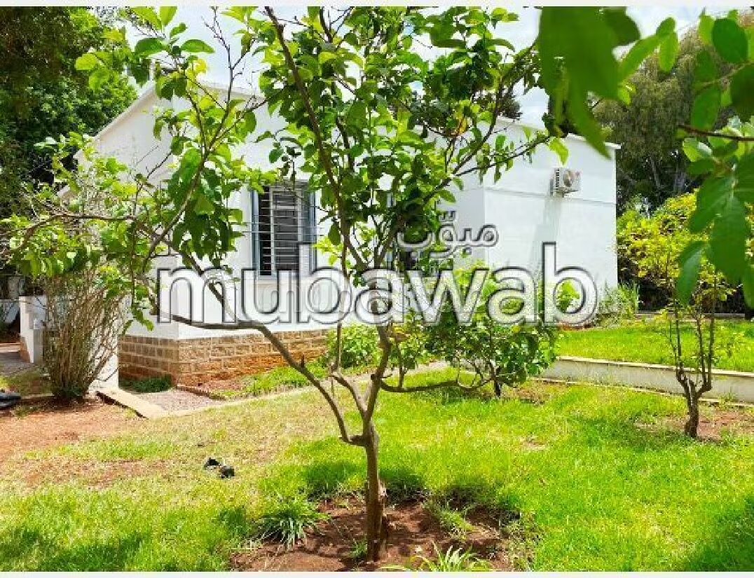 600 m² Villa for Rent in Hay Riad — Photo 198