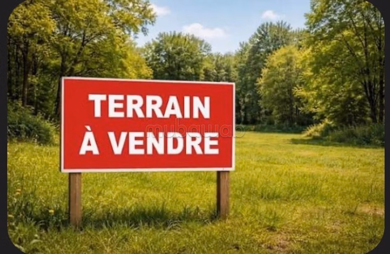 Terrain 500 m² à vendre à Ennakhil Palmeraie, Marrakech — Photo 2