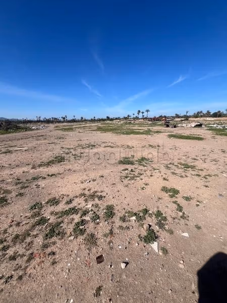 Terrain 500 m² à vendre à Ennakhil Palmeraie, Marrakech — Photo 6