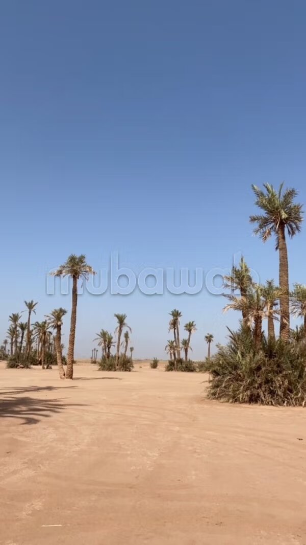 Terrain 500 m² à vendre à Ennakhil Palmeraie, Marrakech — Photo 7