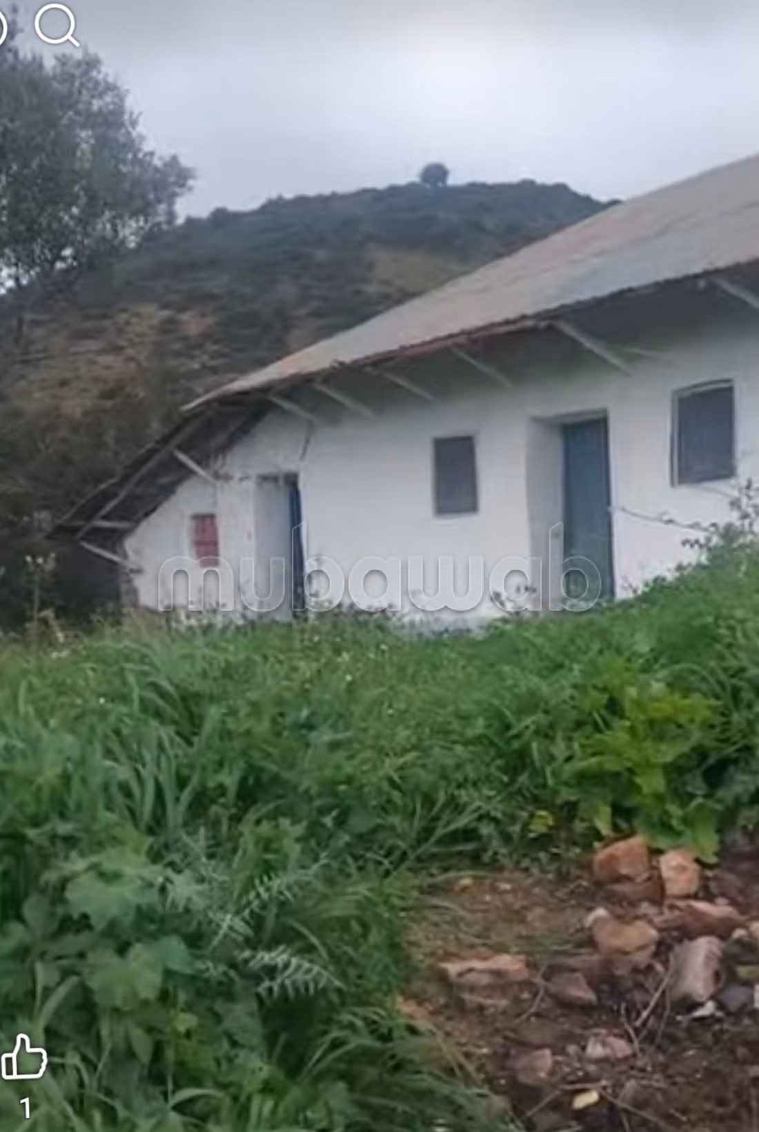 Farm 2500 m² for sale in Souk el Qdim — Photo 2