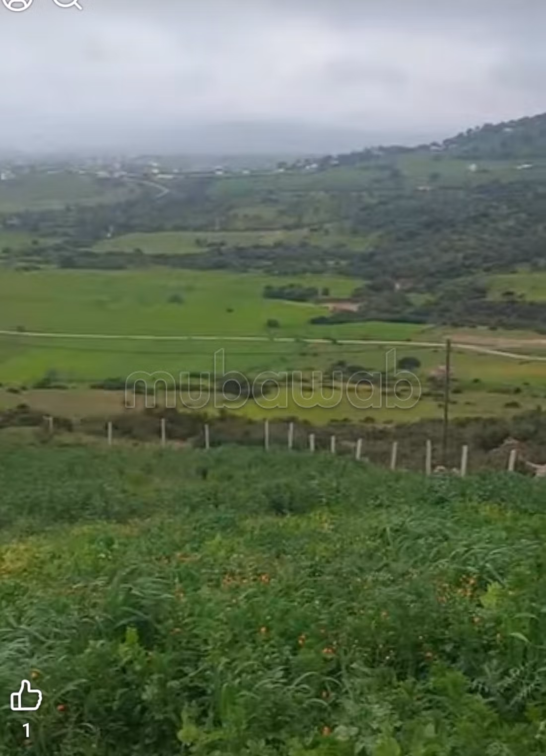 Farm 2500 m² for sale in Souk el Qdim — Photo 6