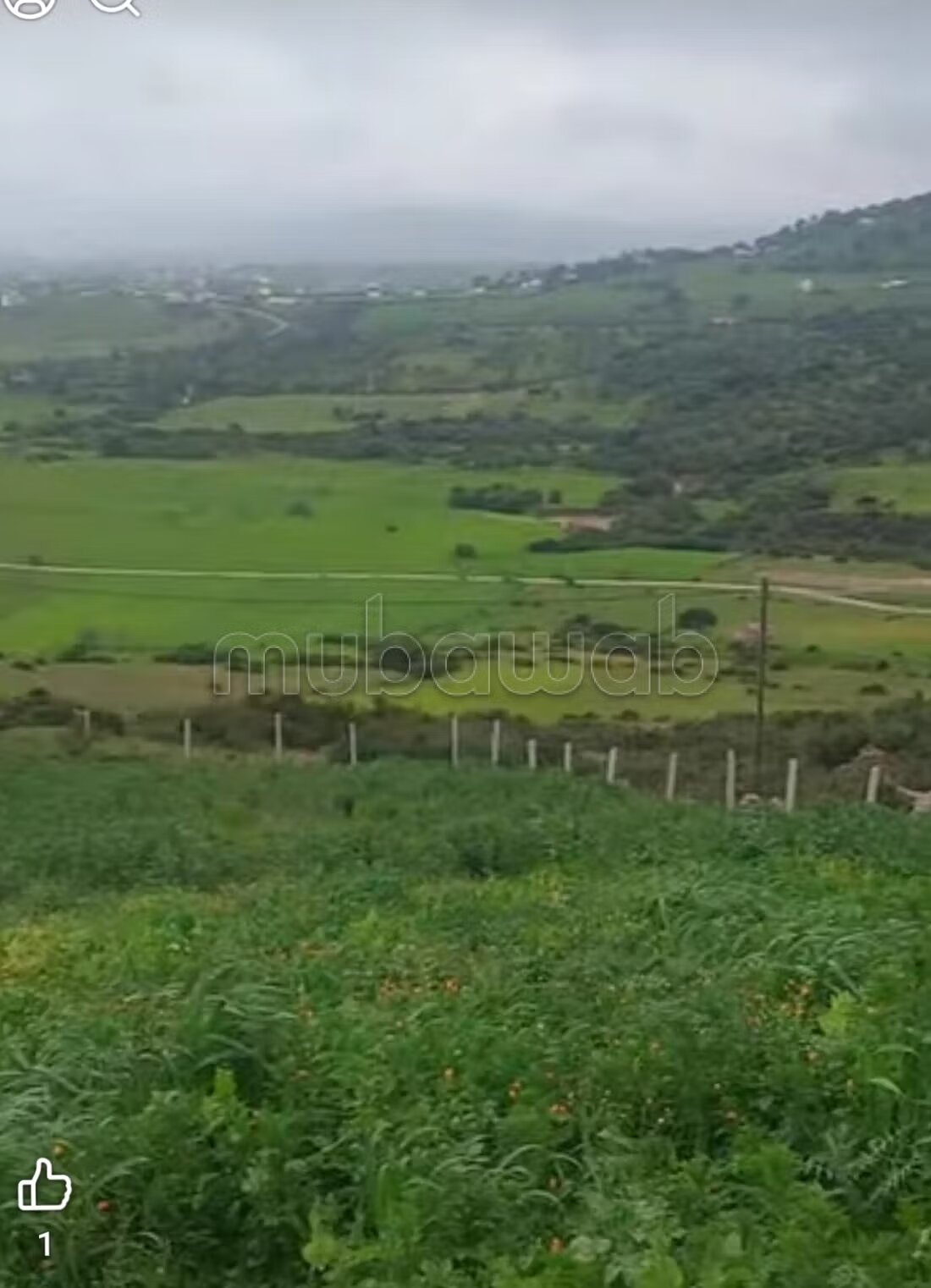 Farm 2500 m² for sale in Souk el Qdim — Photo 5