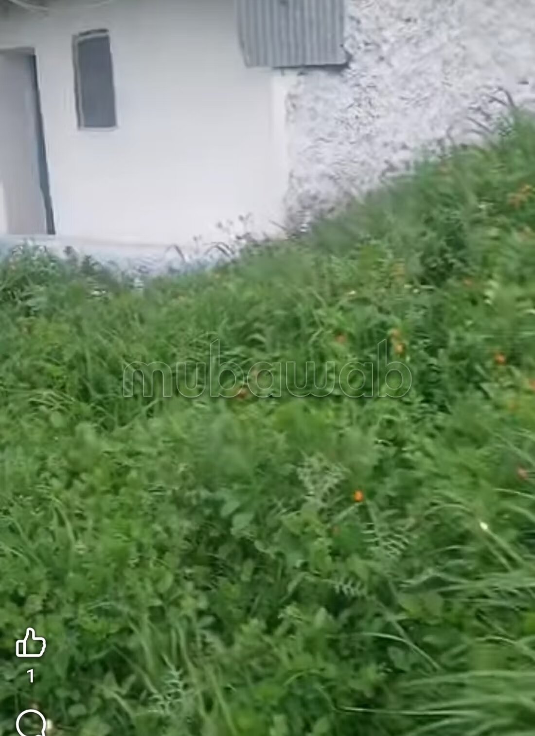 Farm 2500 m² for sale in Souk el Qdim — Photo 7