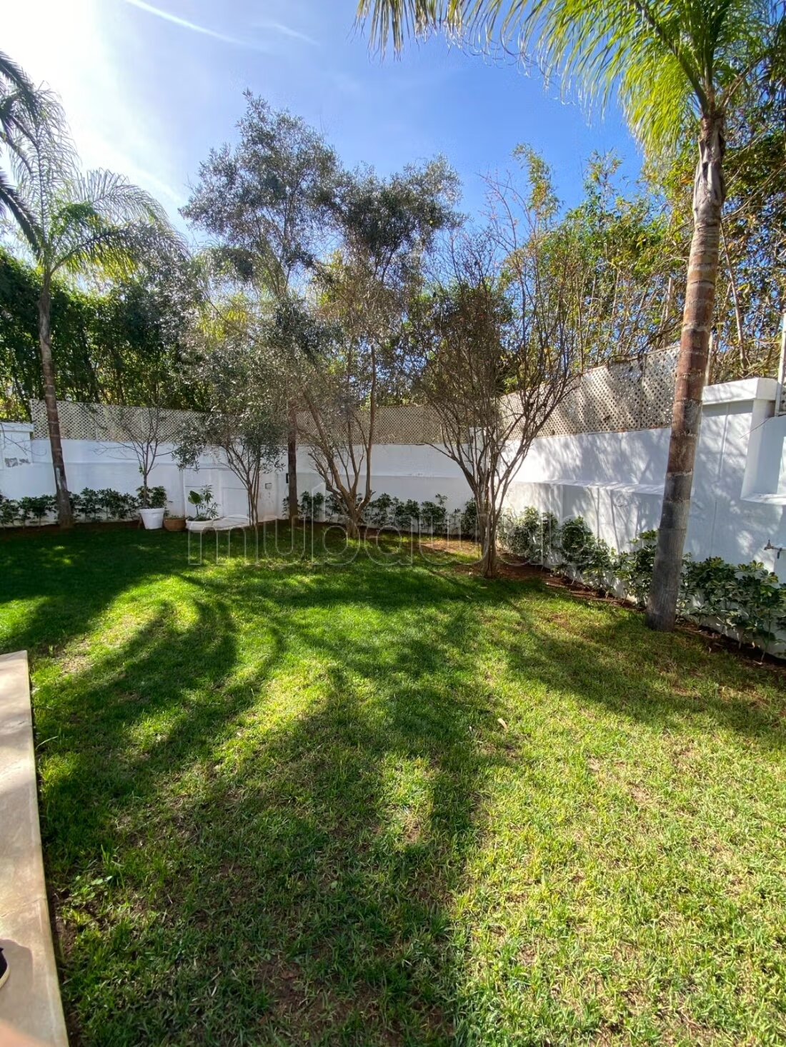 Villa 900 m² à louer à Casablanca (Anfa) — Photo 13