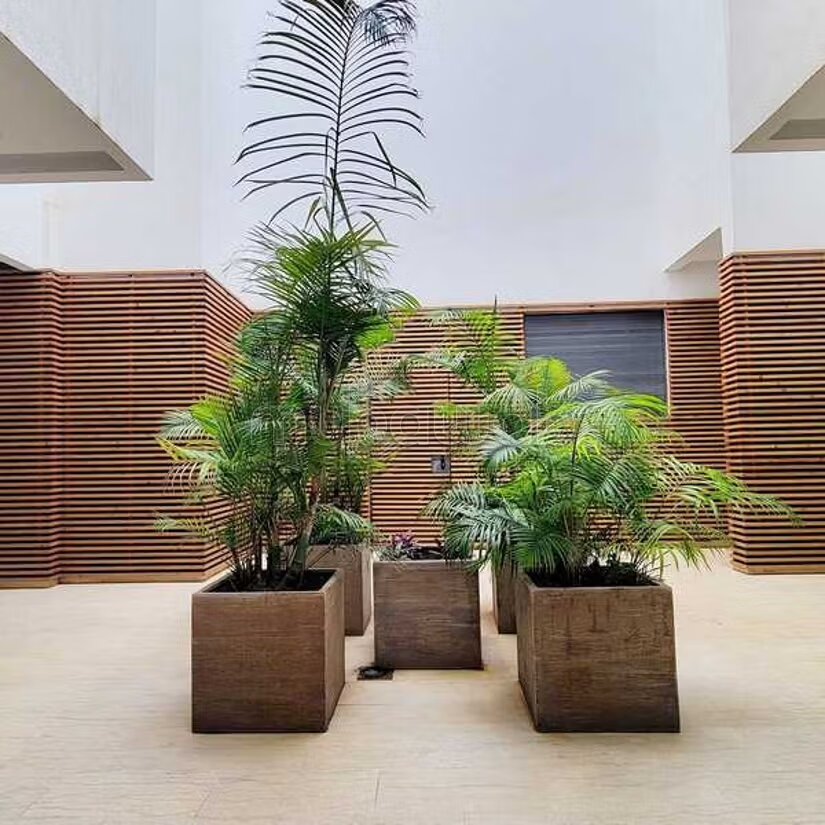 Appartement à louer à Casablanca — Photo 445