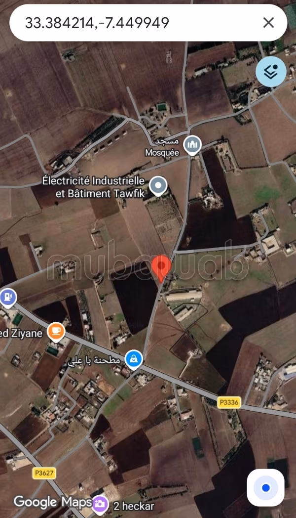 Farm 350 m² for sale on Berrechid — Photo 6