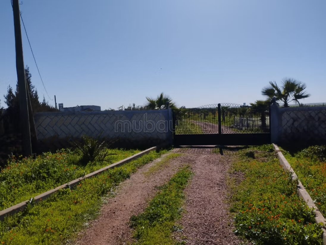 Farm 350 m² for sale on Berrechid — Photo 8
