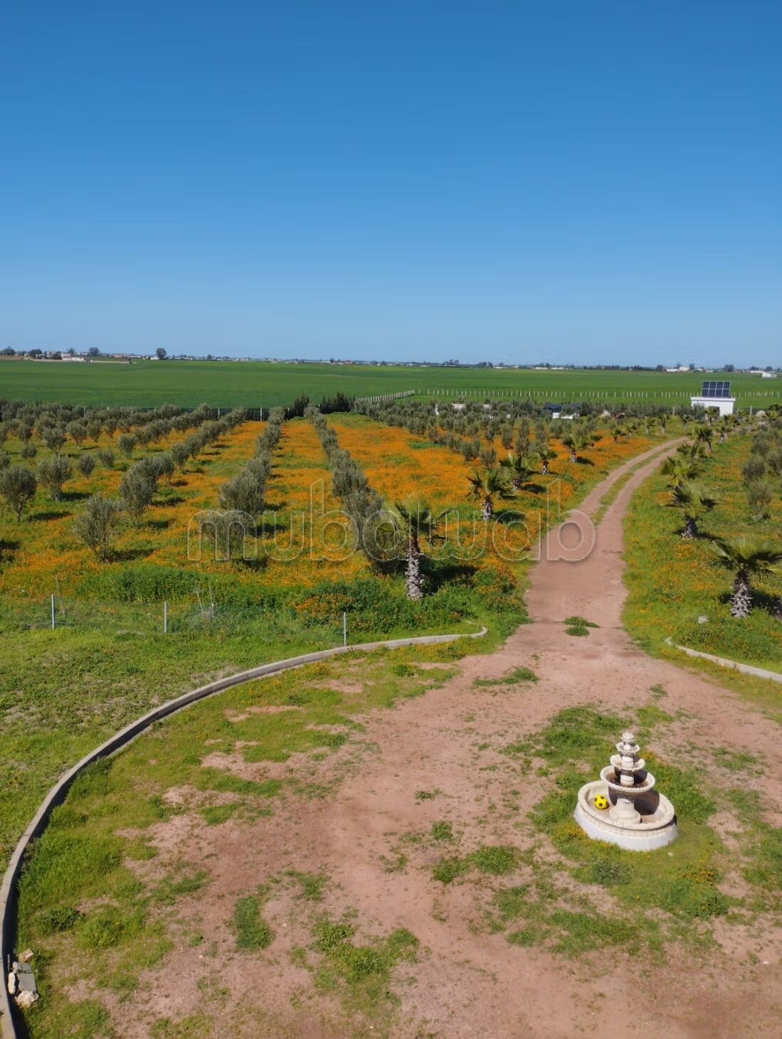 Farm 350 m² for sale on Berrechid — Photo 10