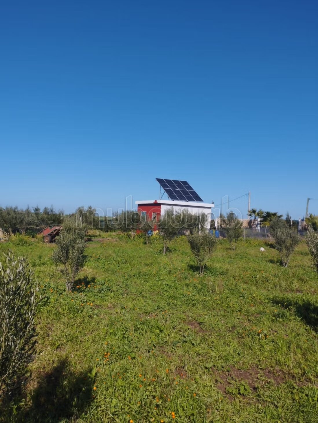 Farm 350 m² for sale on Berrechid — Photo 15