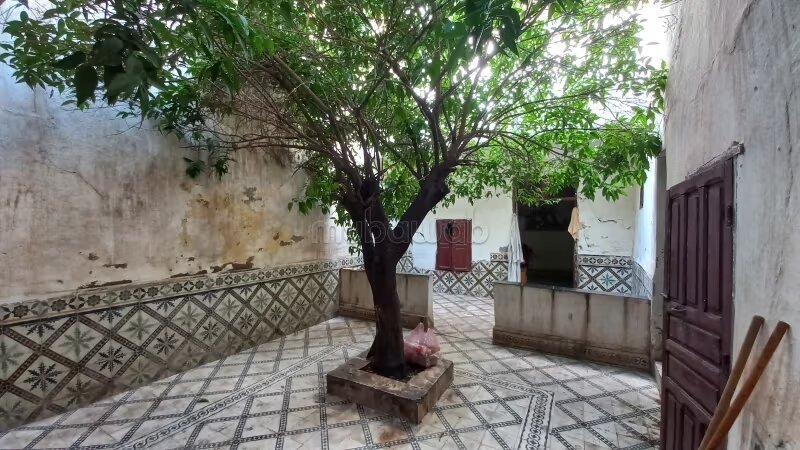ريض 537 متر مربع للبيع في مراكش — Photo 6