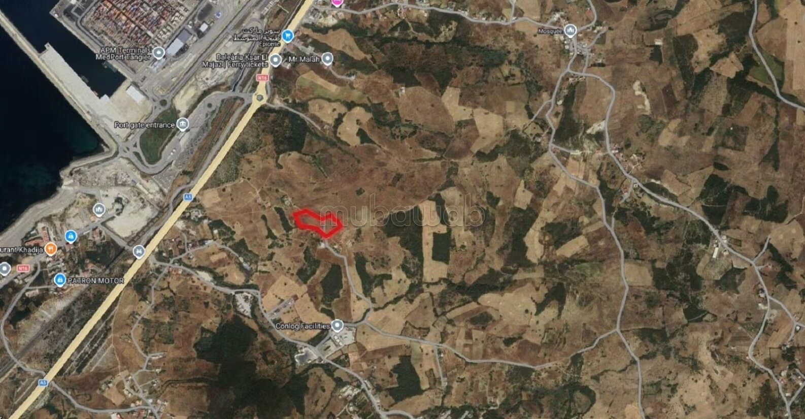 Terrain 8000 m² à vendre à Ksar Sghir Tanger Port — Photo 3