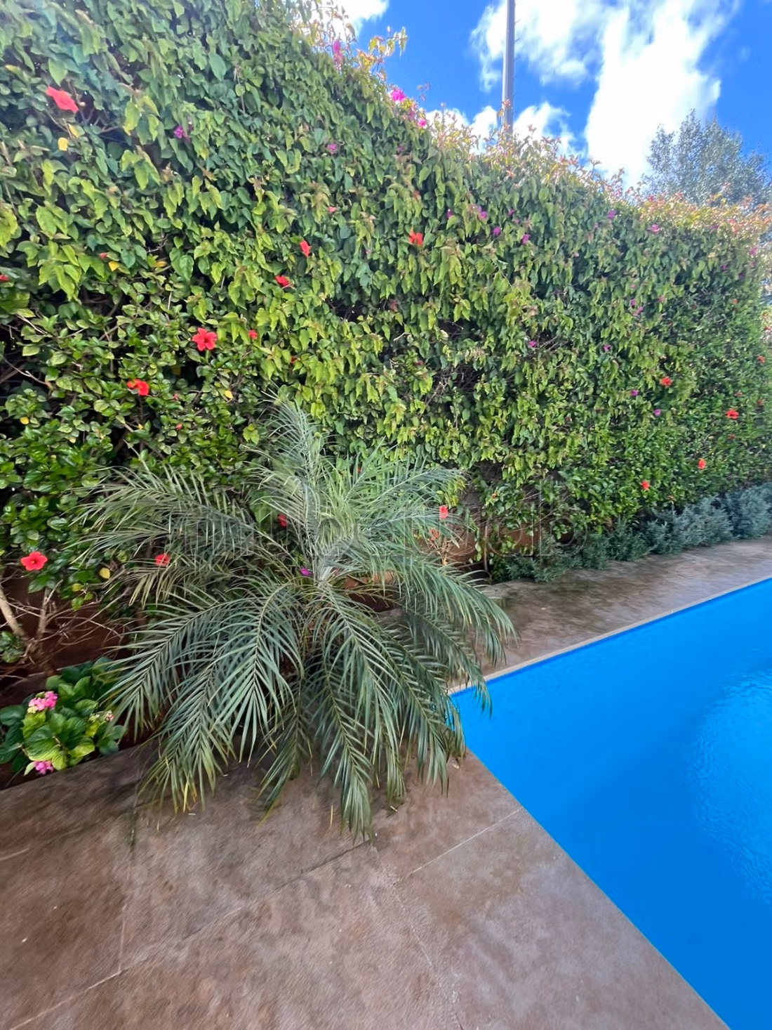 Luxury Villa for Rent in Rabat - 800 m² — Photo 8