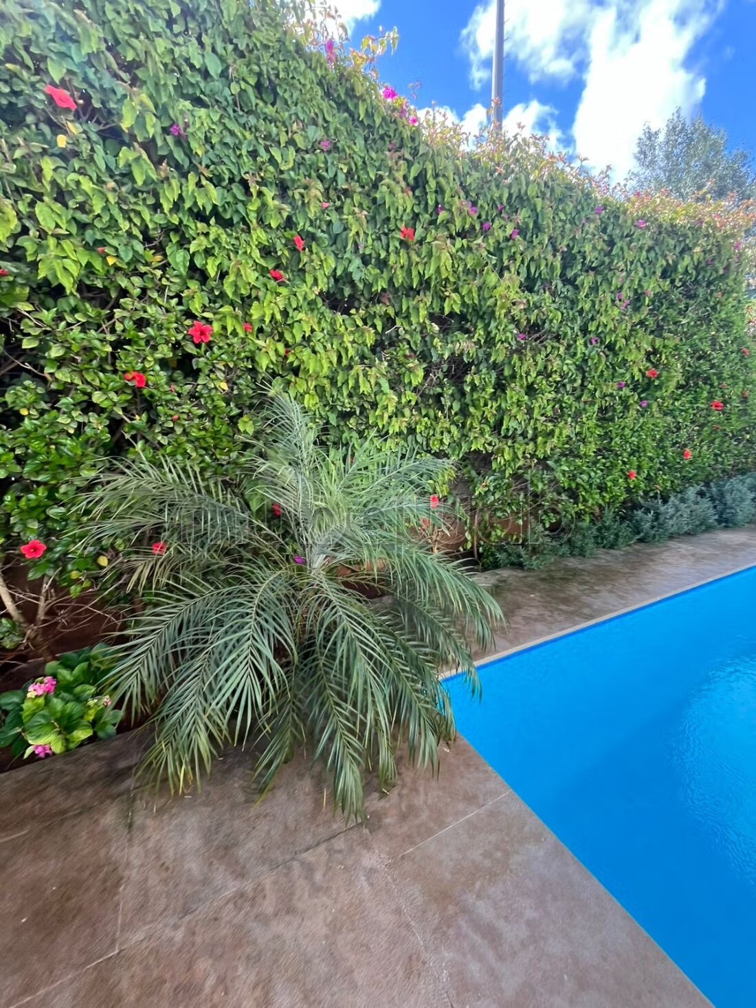 Luxury Villa for Rent in Rabat - 800 m² — Photo 7