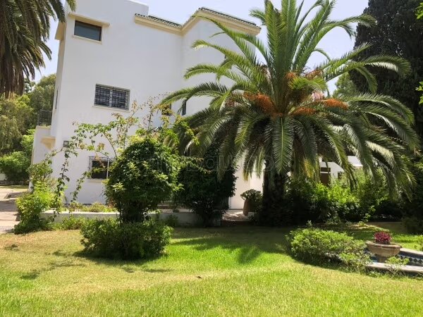 Villa 700 m² à louer à Rabat (Hassan Centre Ville) — Photo 21
