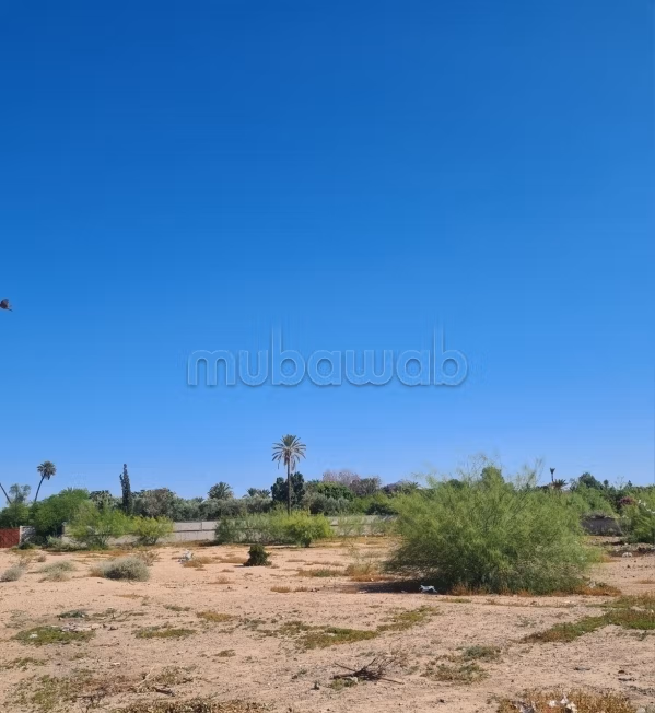Terrain 10000 m² à vendre à Marrakech Ennakhil Palmeraie — Photo 4