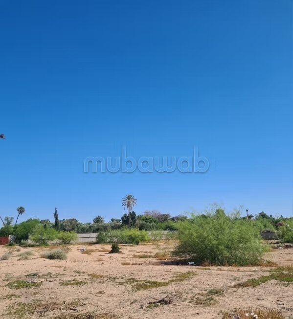 Terrain 10000 m² à vendre à Marrakech Ennakhil Palmeraie — Photo 3