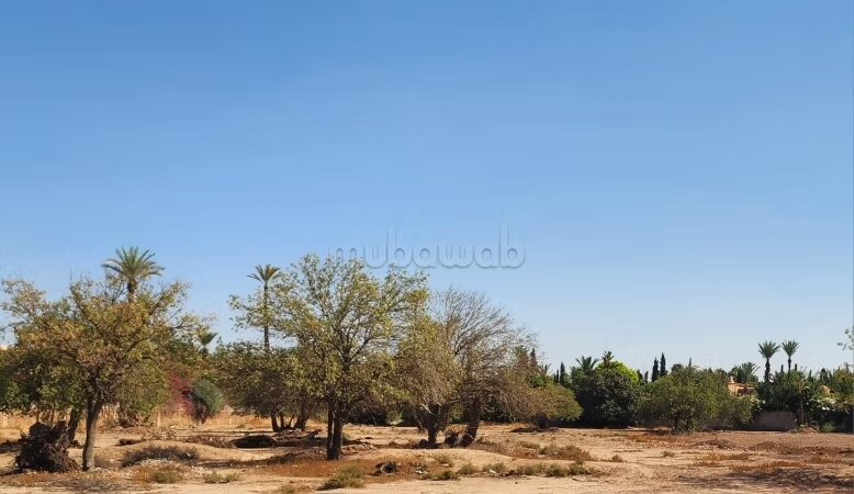 Terrain 10000 m² à vendre à Marrakech Ennakhil Palmeraie — Photo 7