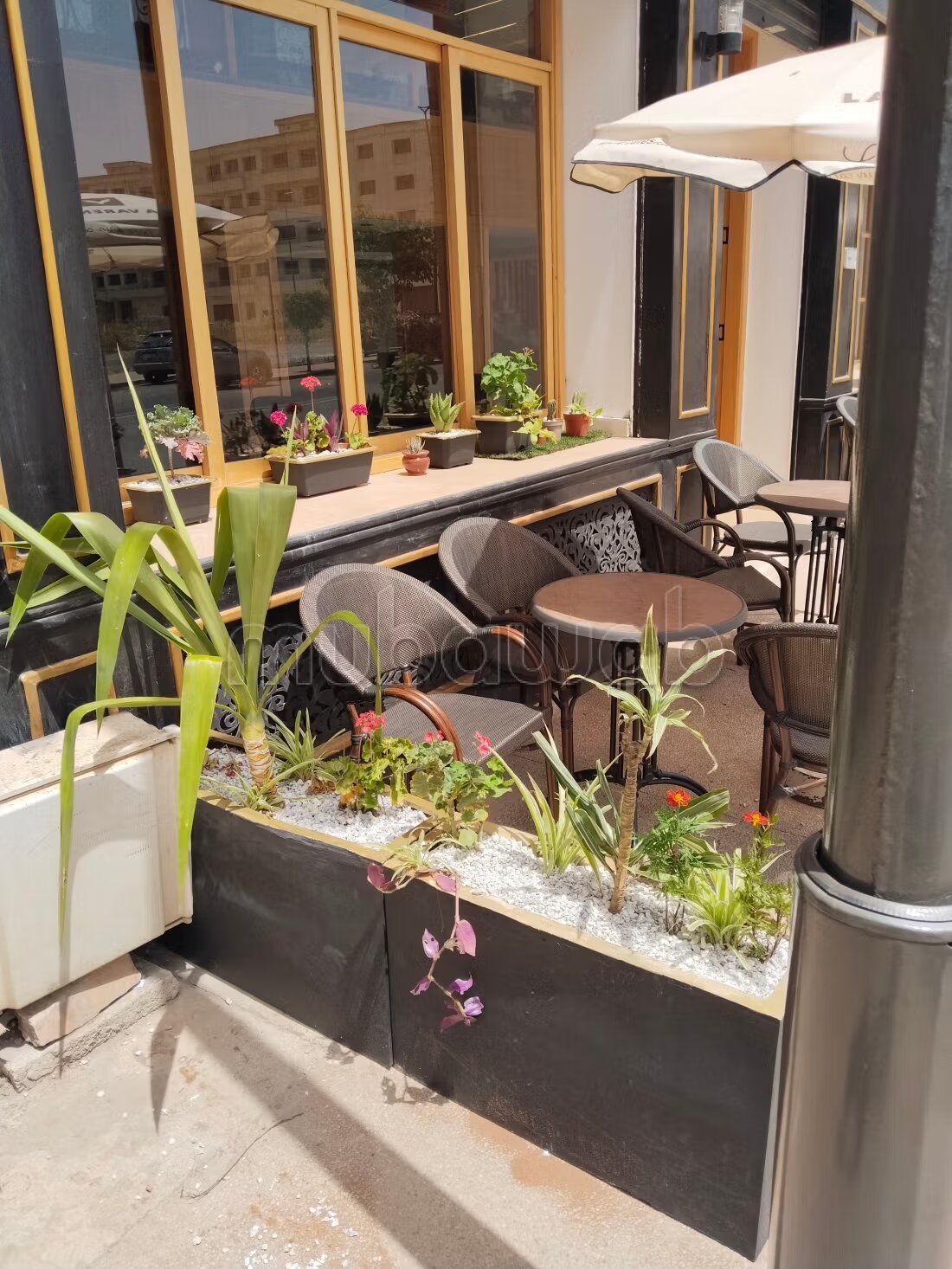 Café d'Angle Murs &amp; Fonds à Vendre – Sala Al Jadida
