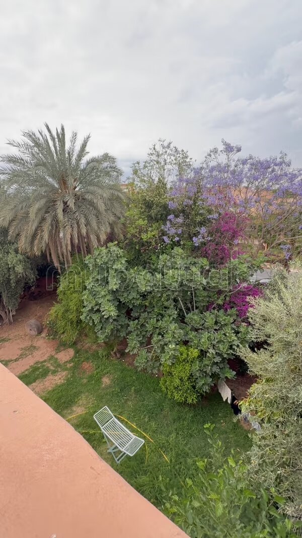 Villa 500 m² for rent in Marrakech (Saphir Baleria) — Photo 20