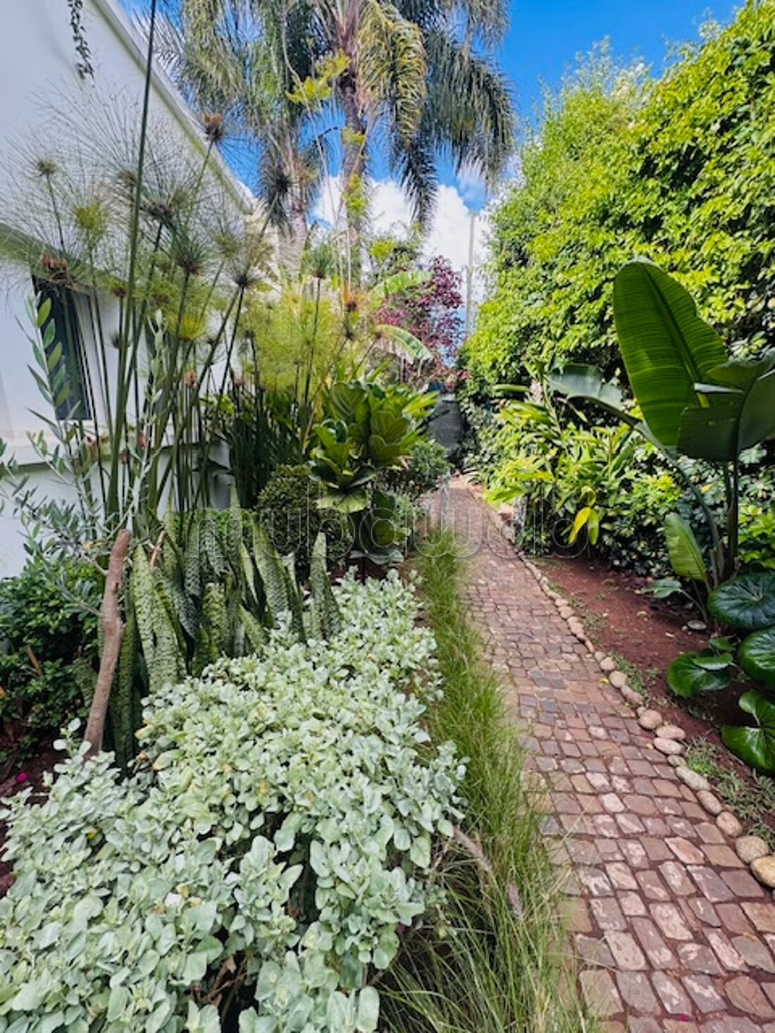 Villa atypique 400 m² à louer à Casablanca — Photo 6
