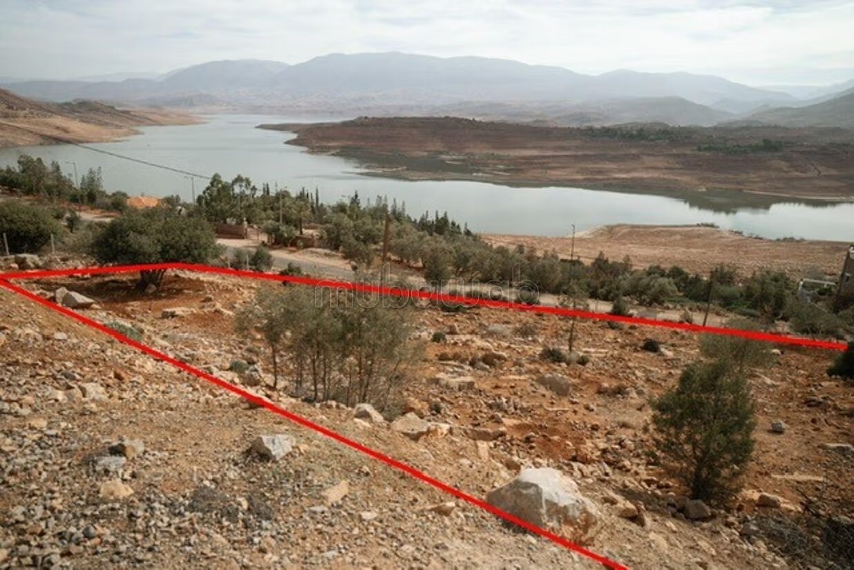 أرض 2 200 م² للبيع في بن الوعيدان — Photo 3