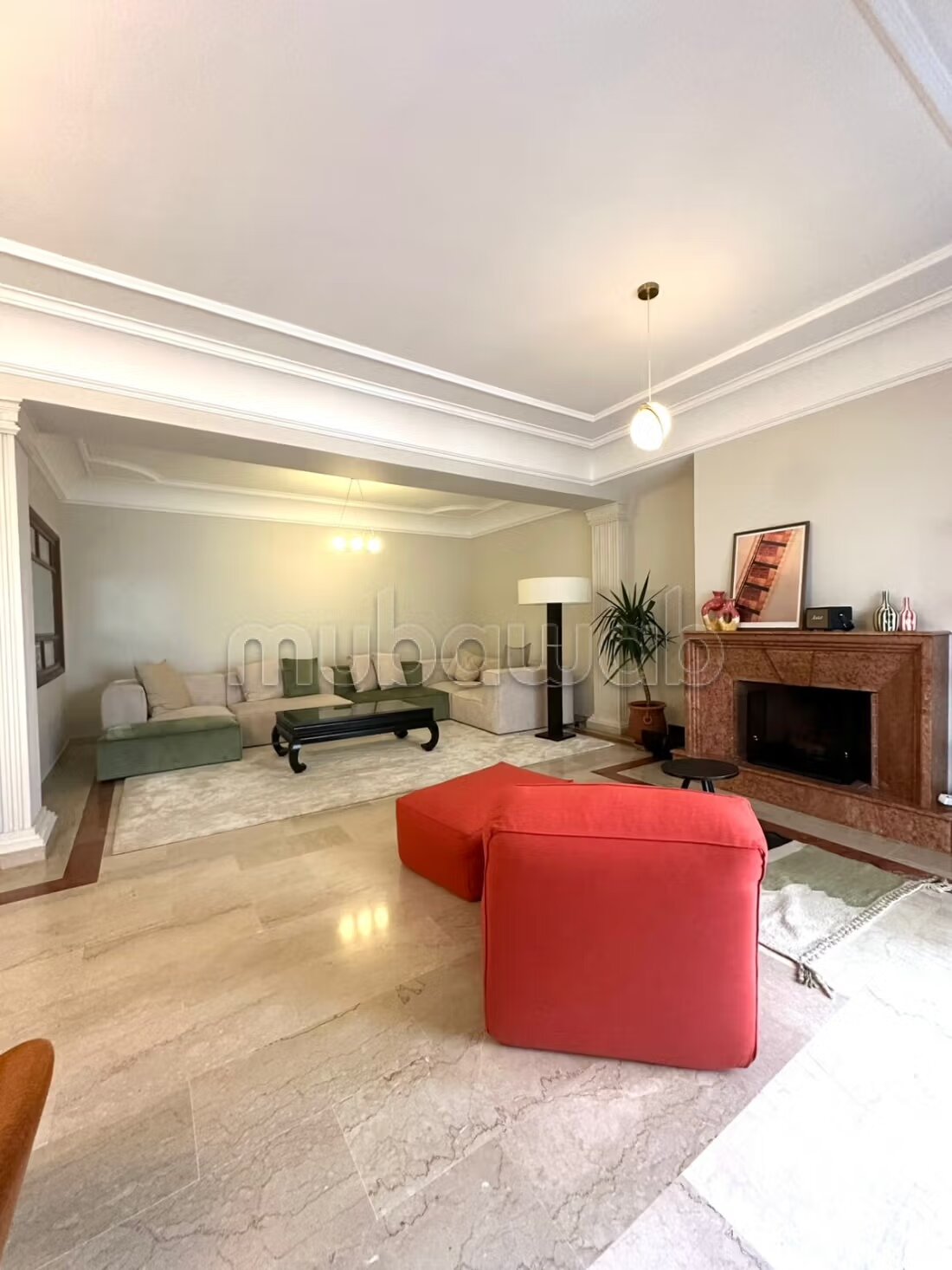 Magnificent apartment for rent
