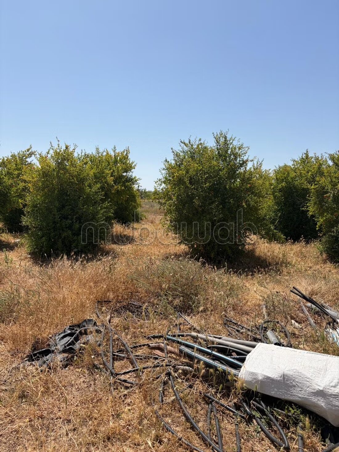 Land 13000 m² for sale in الدار البيضاء — Photo 9