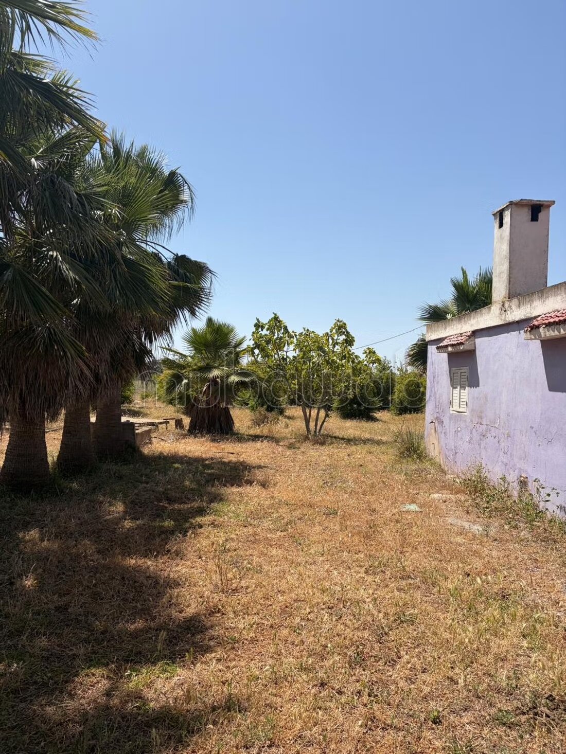 Land 13000 m² for sale in الدار البيضاء — Photo 11