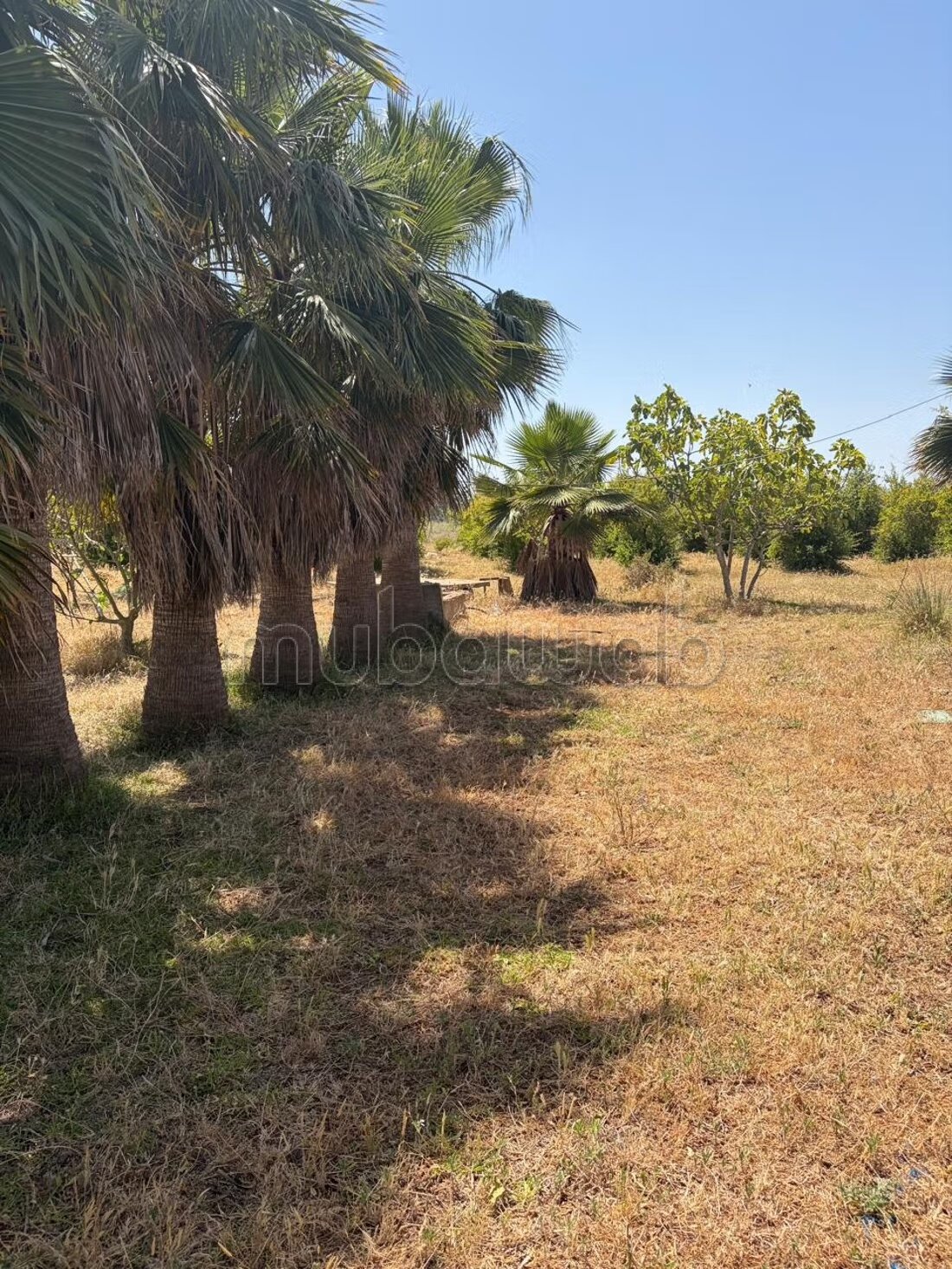 Land 13000 m² for sale in الدار البيضاء — Photo 15