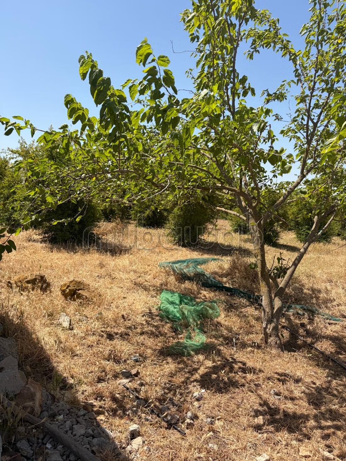 Land 13000 m² for sale in الدار البيضاء — Photo 6