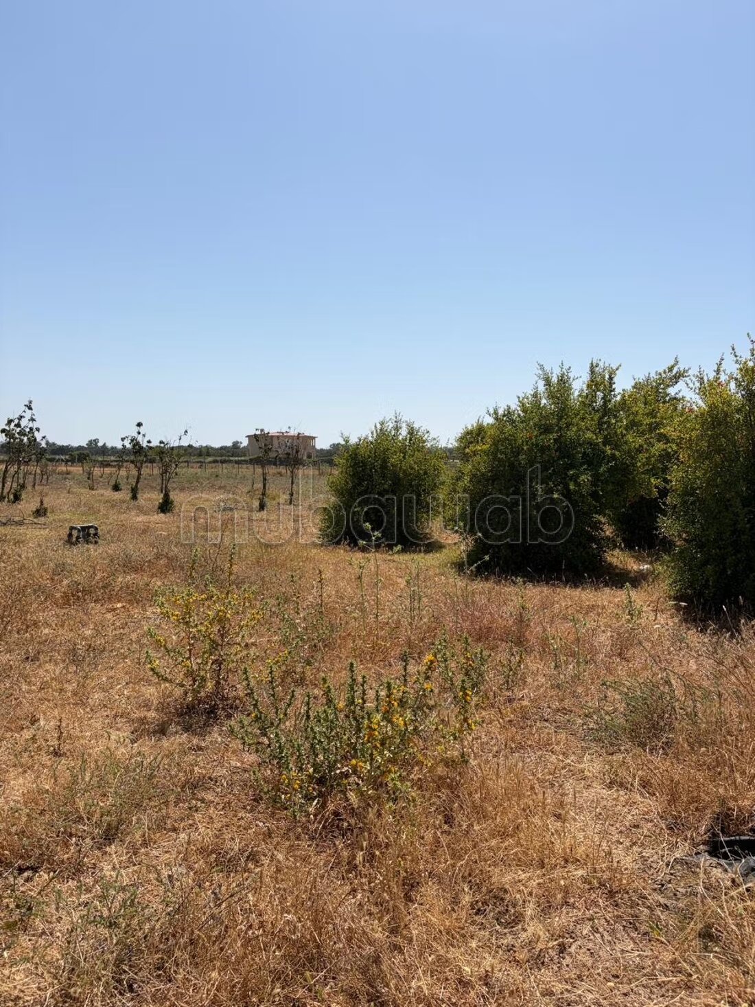 Land 13000 m² for sale in الدار البيضاء — Photo 8