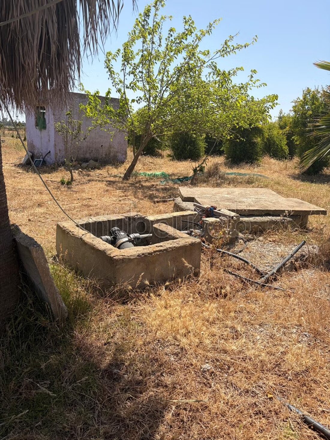 Land 13000 m² for sale in الدار البيضاء — Photo 14