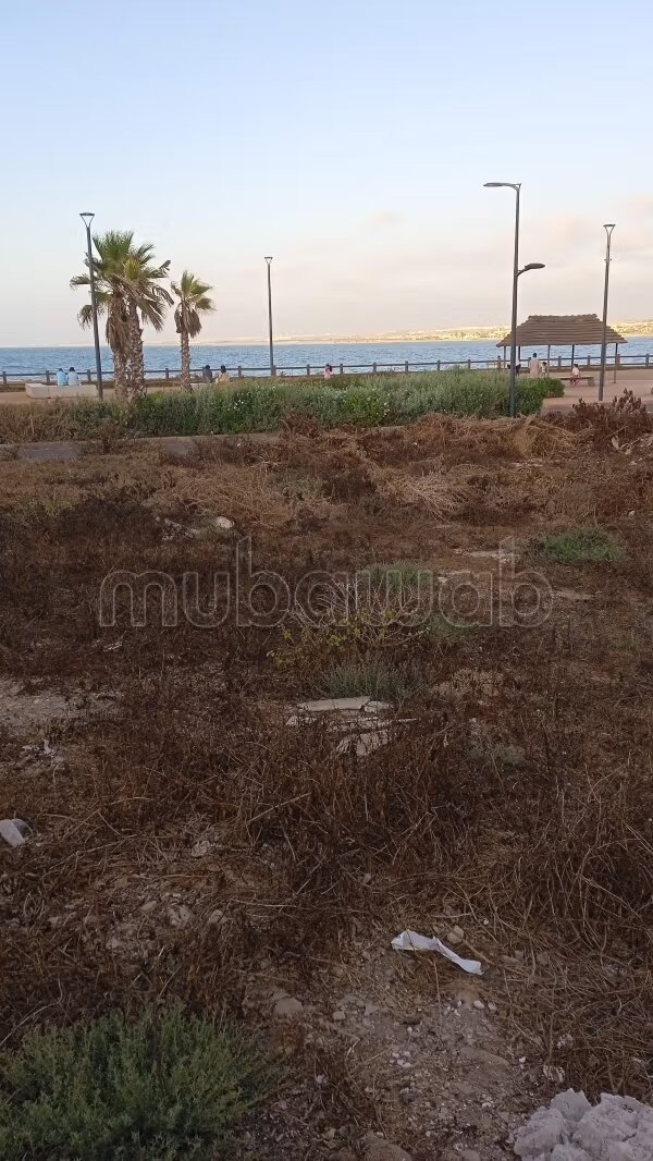 Terrain 608 m² à vendre à Casablanca (Dar Bouazza) — Photo 7