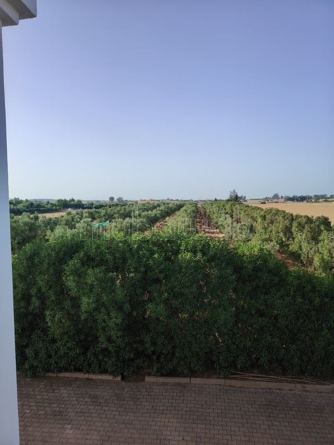 Ferme 400 m² à vendre à Béni Yakhlef — Photo 19