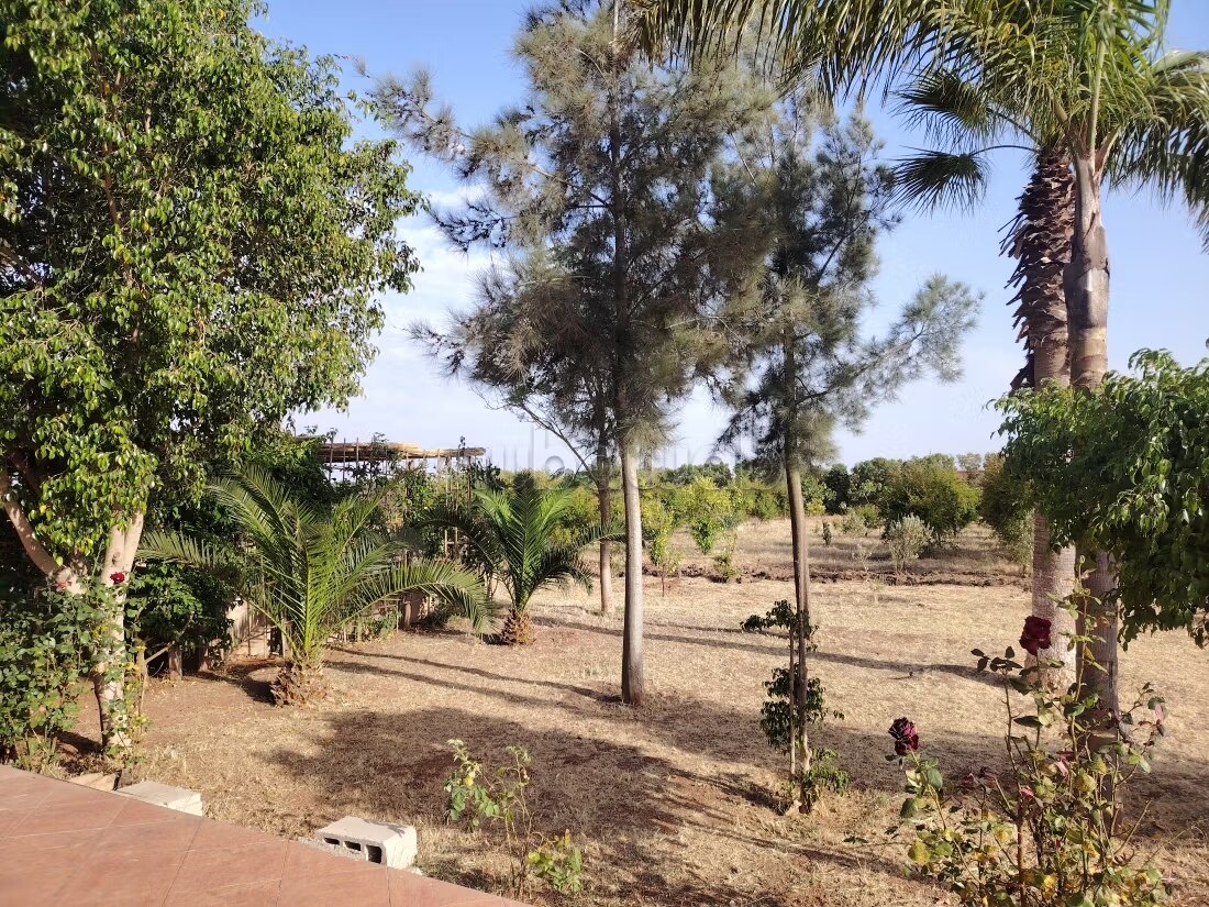 Ferme 400 m² à vendre à Béni Yakhlef — Photo 22