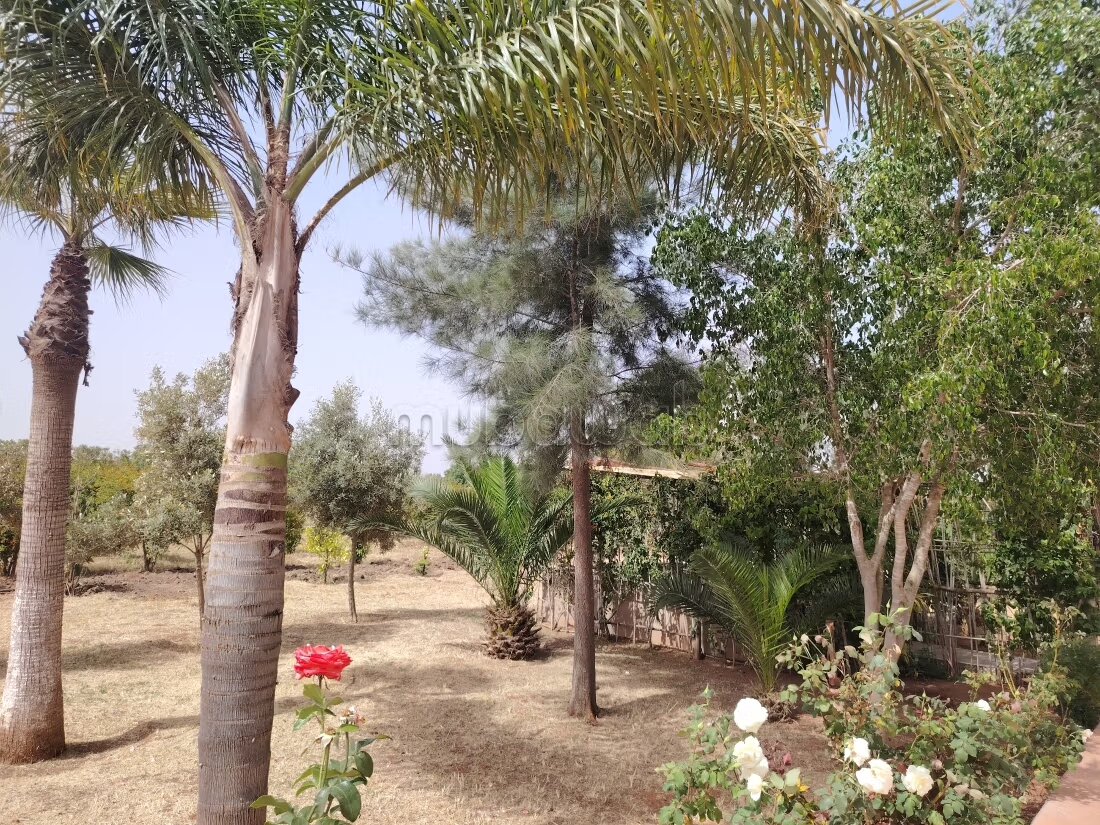Ferme 400 m² à vendre à Béni Yakhlef — Photo 26