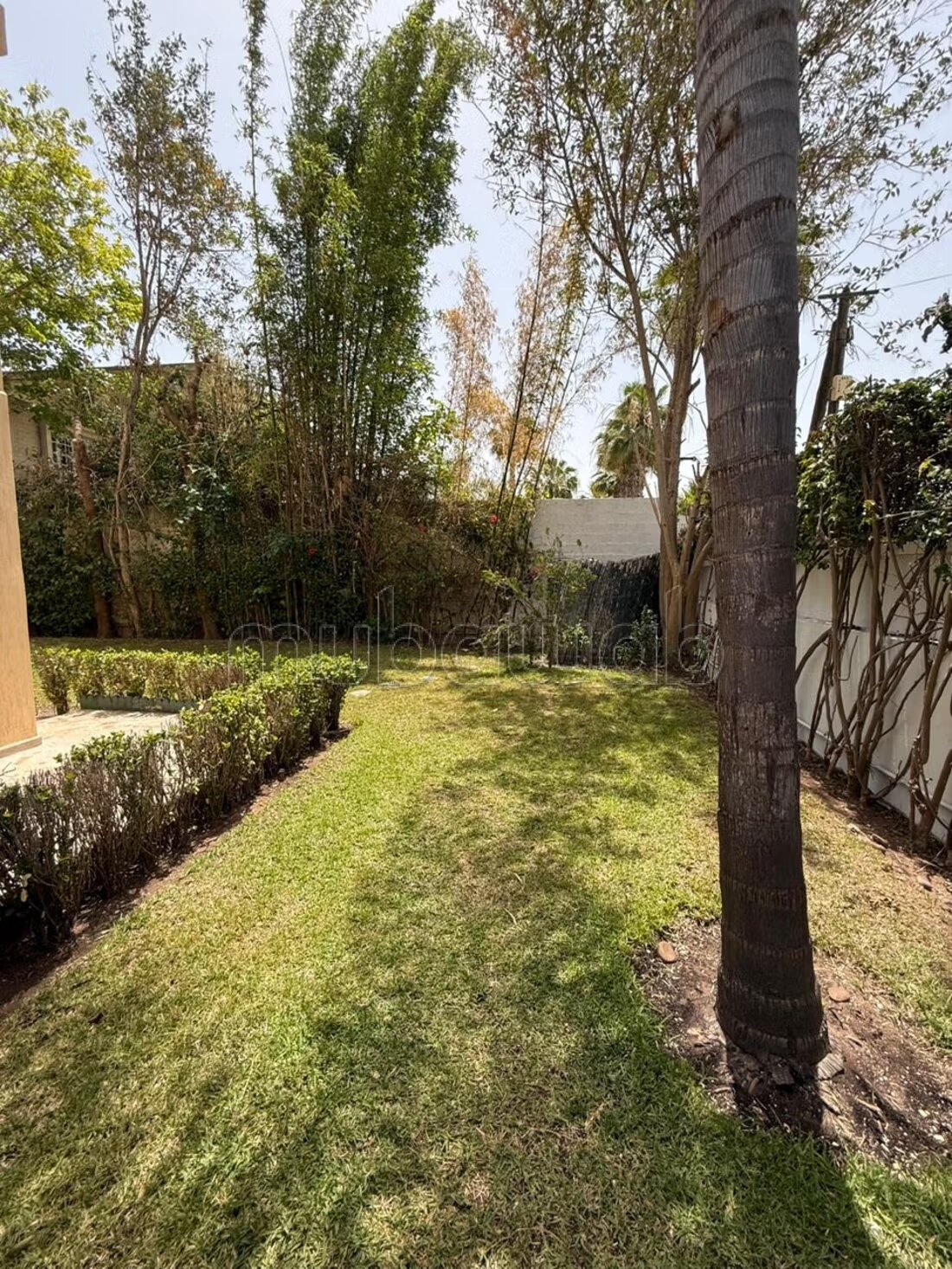 Villa 1000 m² à louer à Rabat (OLM Souissi) — Photo 18