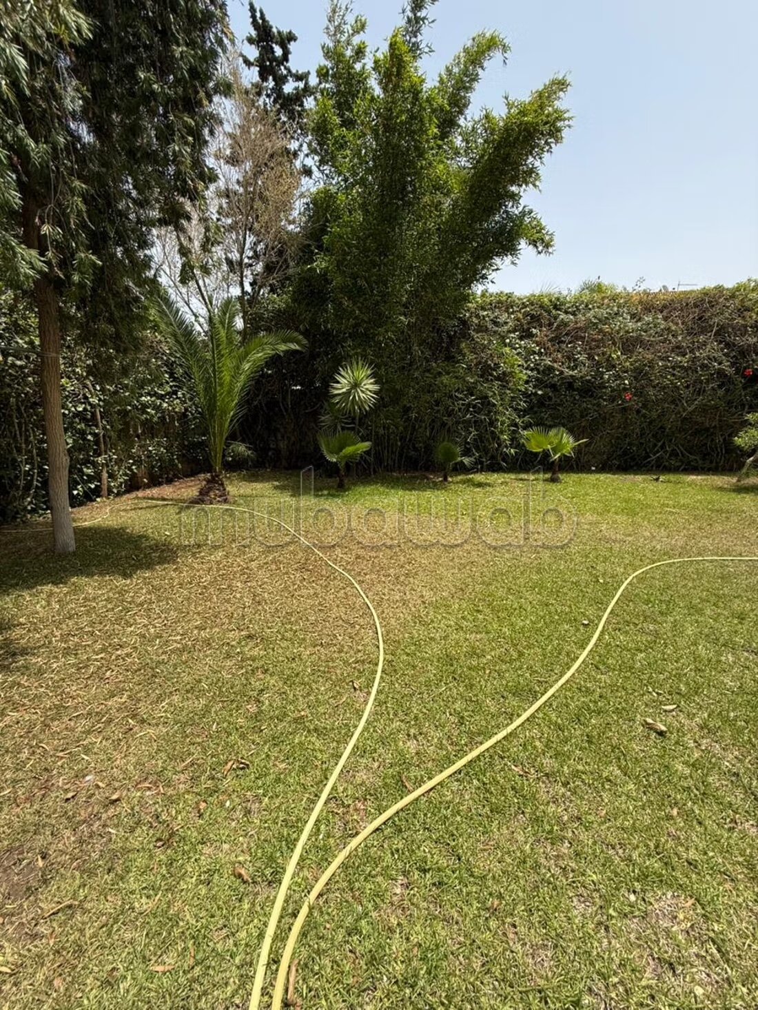Villa 1000 m² à louer à Rabat (OLM Souissi) — Photo 32