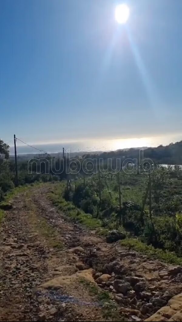 Plot 3523 m² for sale in Tangier (Achakar) — Photo 13