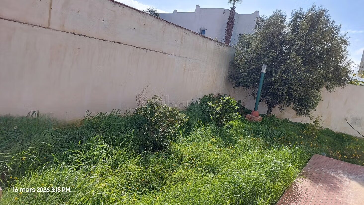 فيلا 300 متر مربع للبيع في تطوان — Photo 18