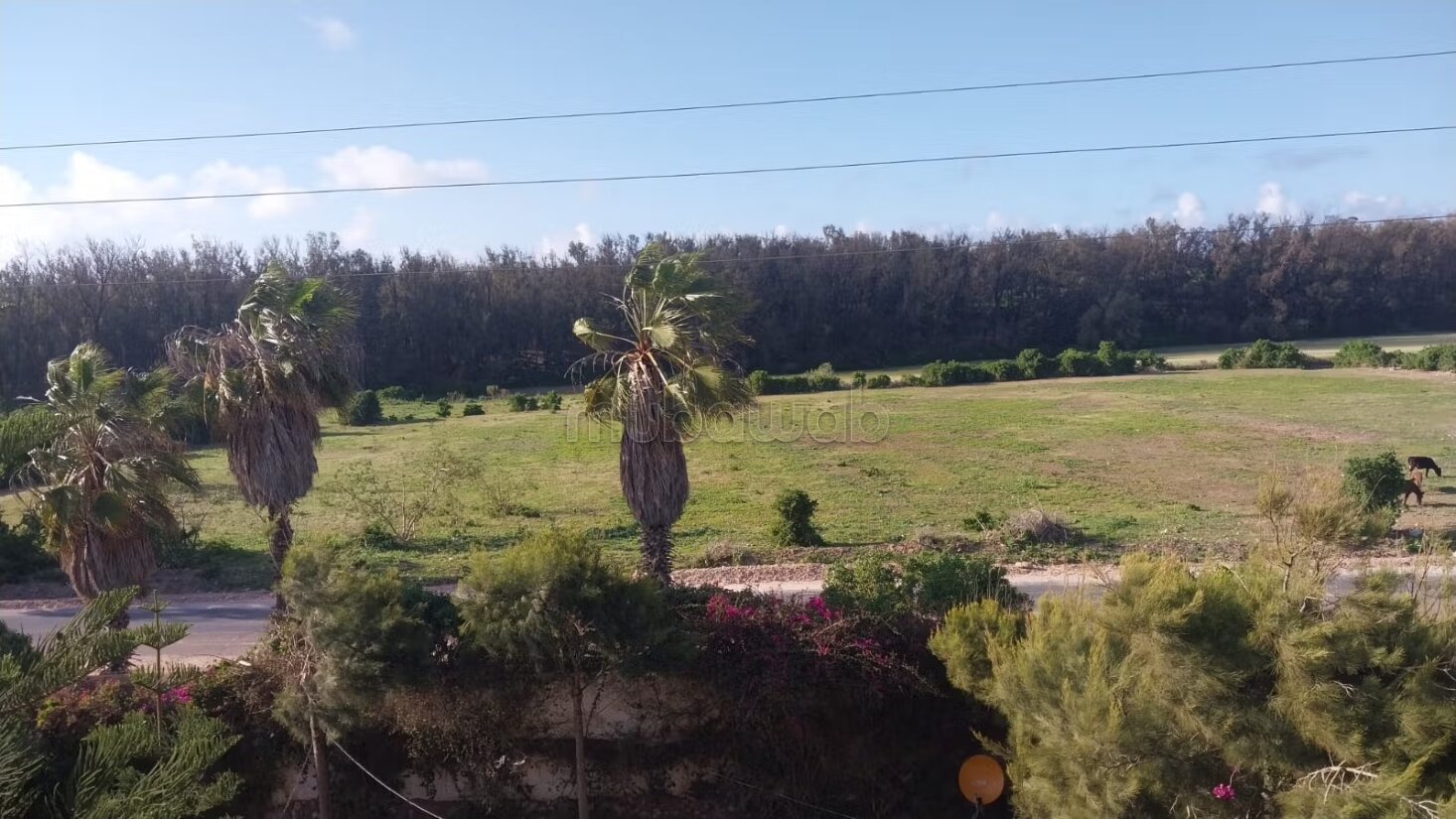 أرض 5500 م² للبيع في الجديدة — Photo 7