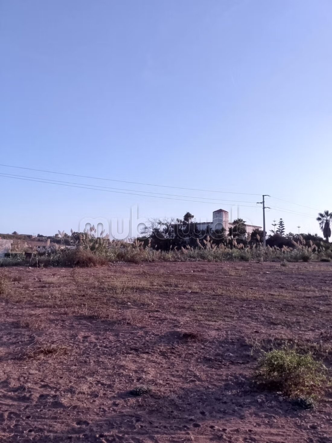 أرض 5500 م² للبيع في الجديدة — Photo 8