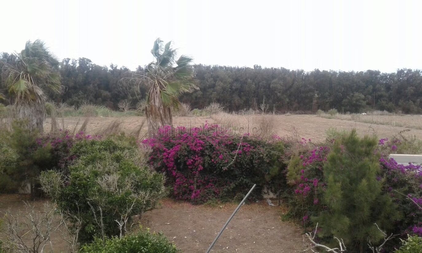 أرض 5500 م² للبيع في الجديدة — Photo 10