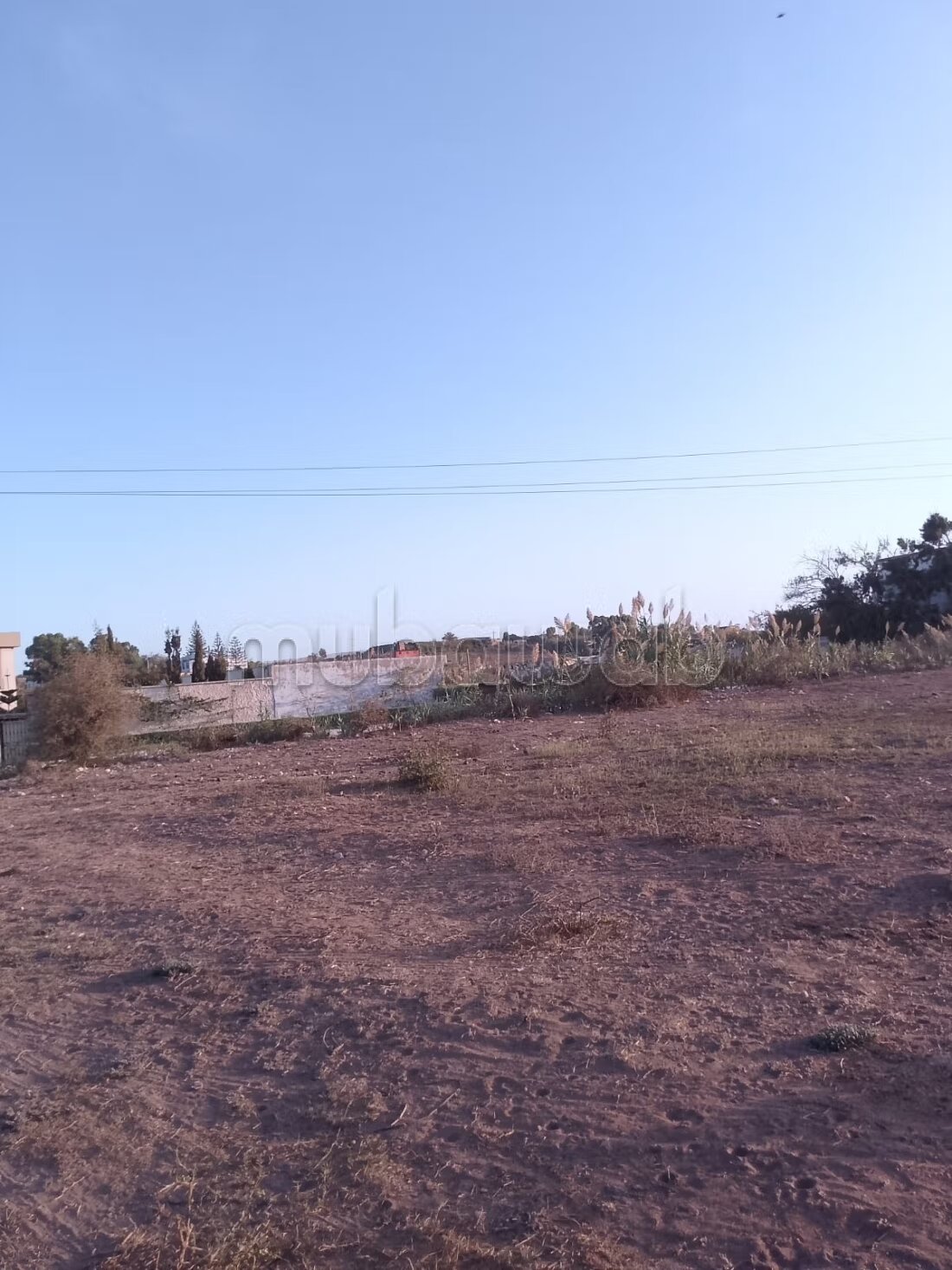 أرض 5500 م² للبيع في الجديدة — Photo 11