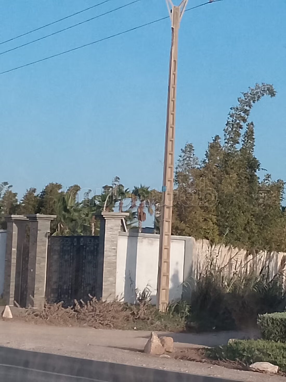 أرض 5500 م² للبيع في الجديدة — Photo 12