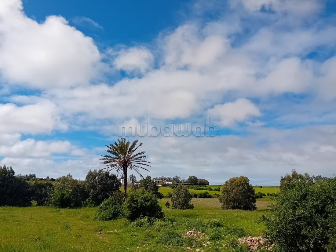 أرض 5500 م² للبيع في الجديدة — Photo 13